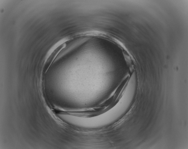 X0000087421426200705181411