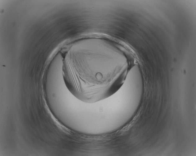 X0000087421430200705181411