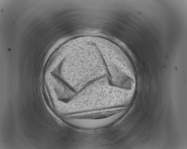 X0000087421432200705181411