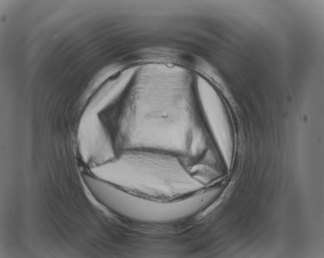 X0000087421433200705181411