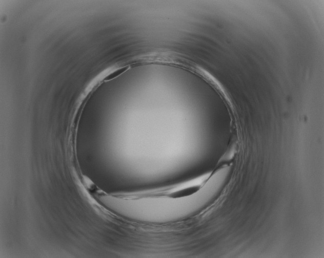 X0000087421434200705181411