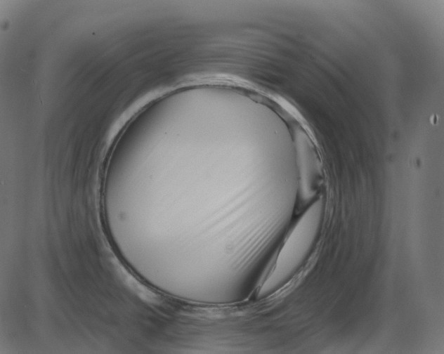 X0000087421438200705181411