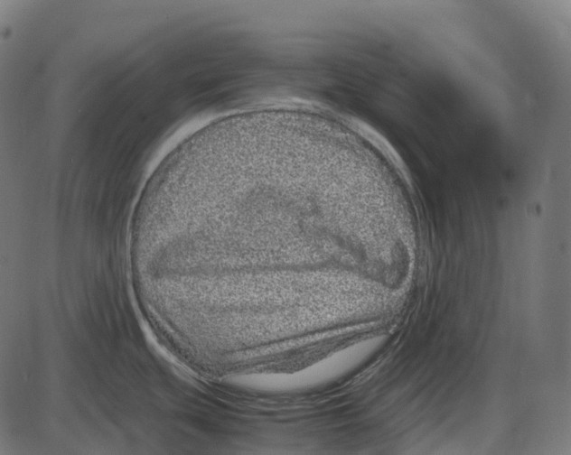X0000087421439200705181411