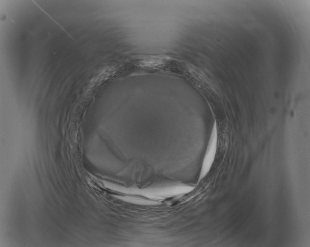 X0000087421441200705181411