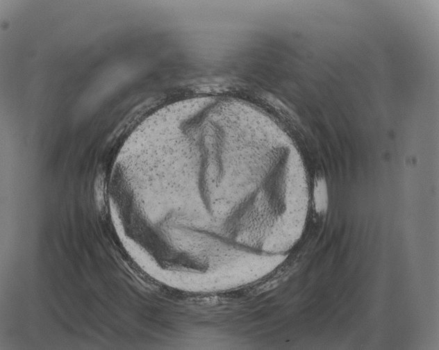 X0000087421444200705181411