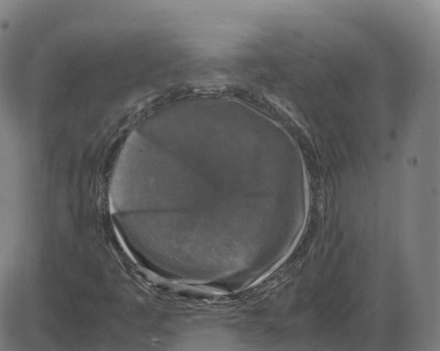 X0000087421445200705181411