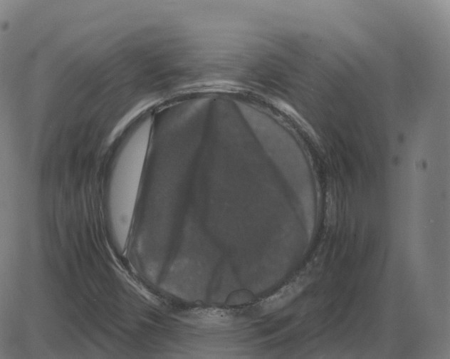 X0000087421450200705181410