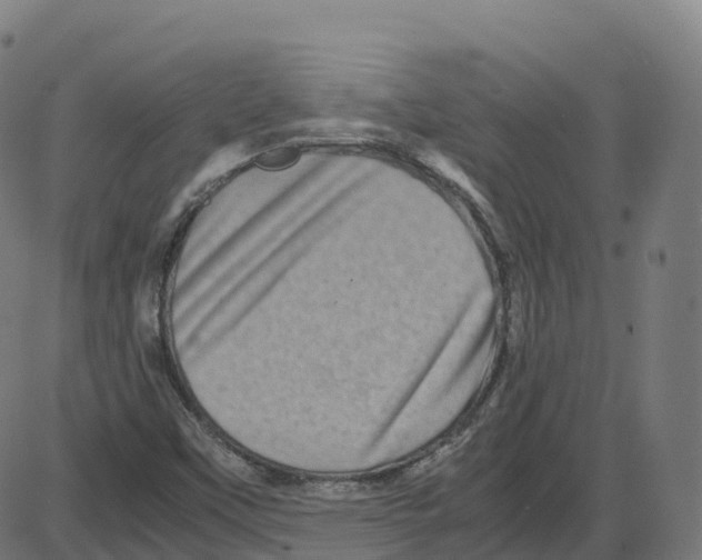 X0000087421451200705181410