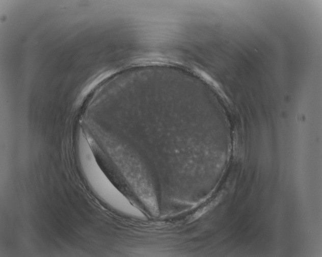 X0000087421453200705181410