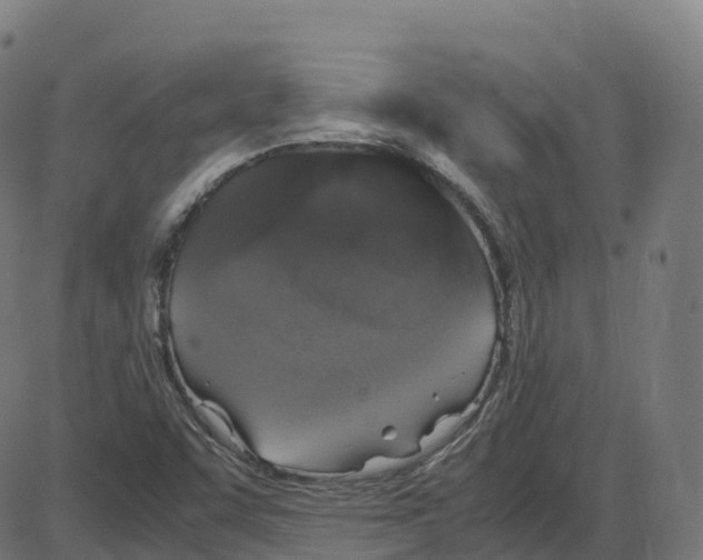 X0000087421455200705181410