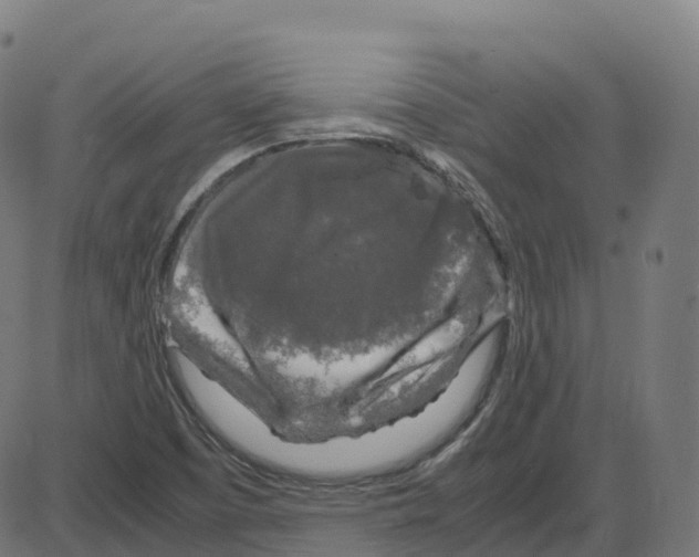 X0000087421457200705181410
