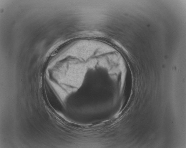 X0000087421459200705181410