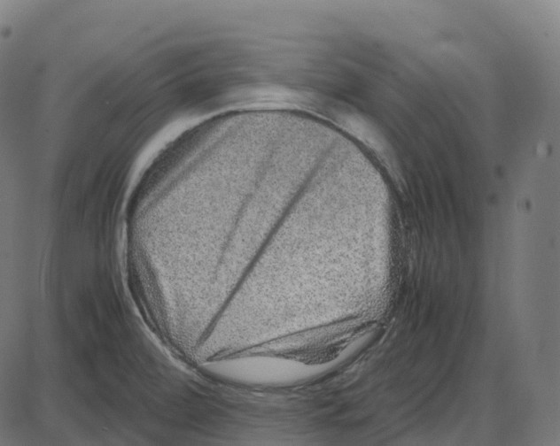 X0000087421472200705181410