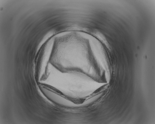 X0000087421476200705181410