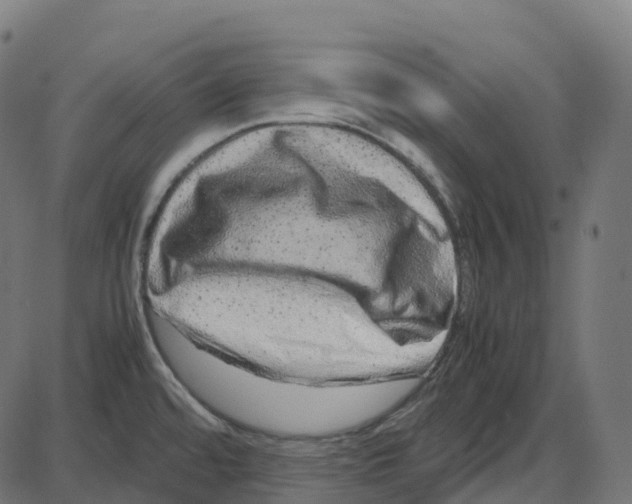 X0000087421480200705181410