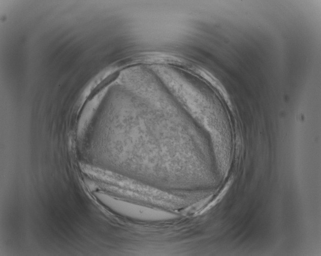 X0000087421481200705181410