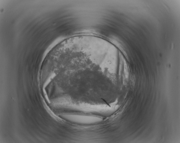 X0000087421482200705181410