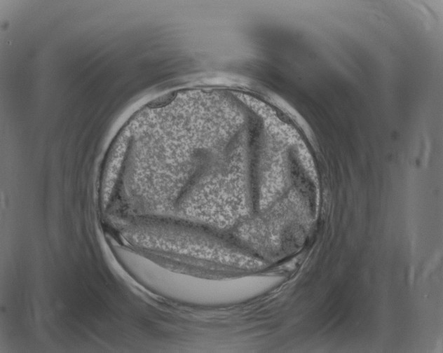 X0000087421483200705181410