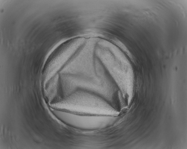 X0000087421484200705181410