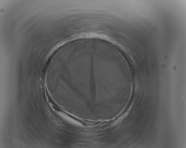 X0000087421497200705181409