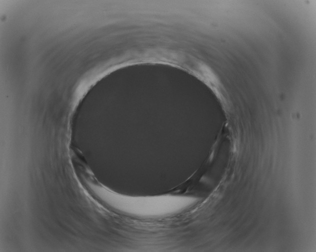 X0000087421508200705181409