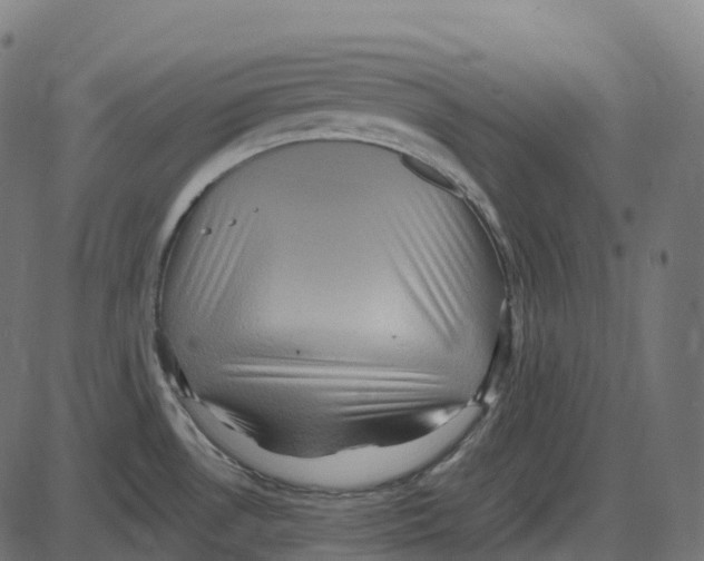 X0000087421530200705181410