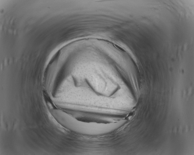X0000087421532200705181410