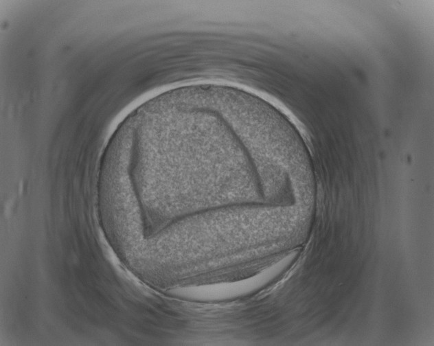 X0000087421534200705181410