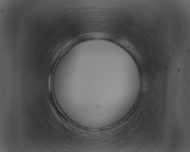 X0000087510014200704270805