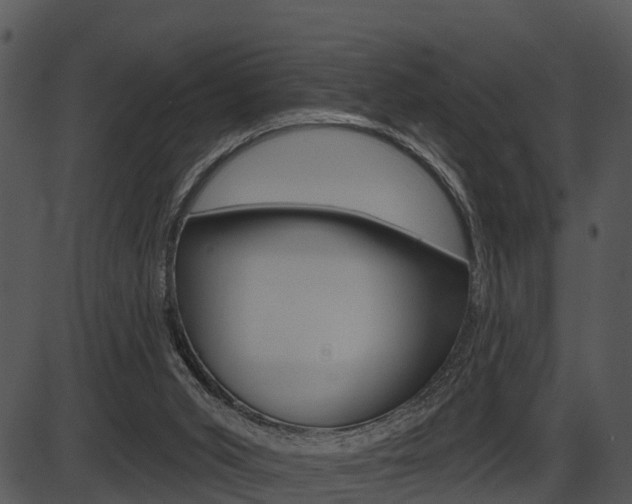 X0000087510015200704270805