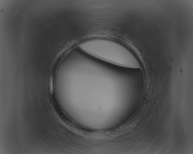 X0000087510020200704270805