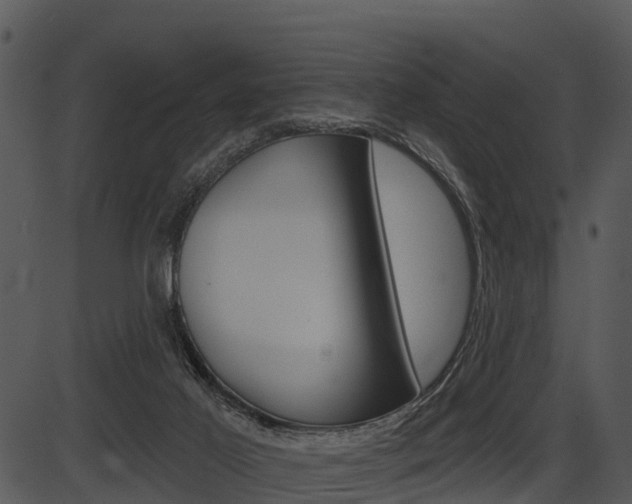 X0000087510021200704270805