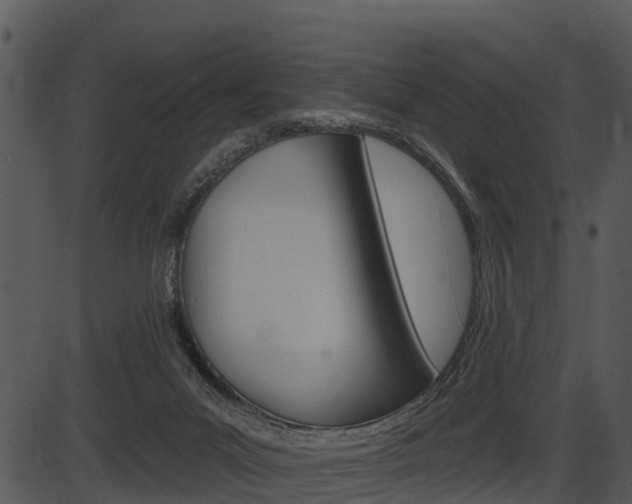 X0000087510023200704270805