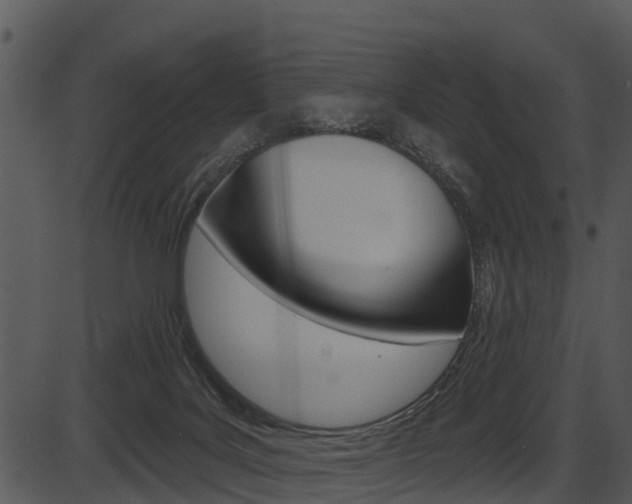 X0000087510027200704270805