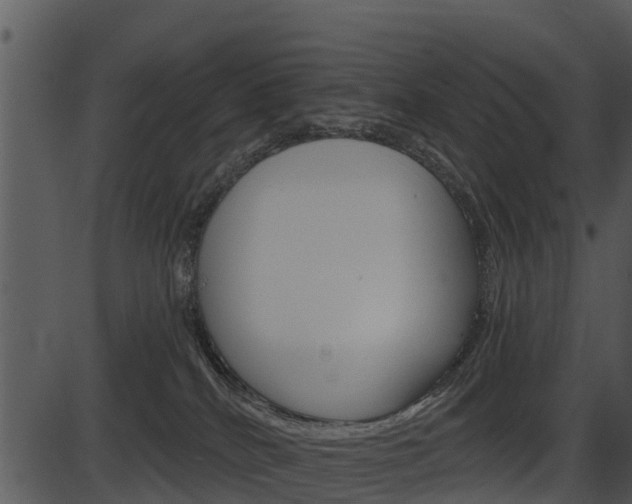 X0000087510040200704270805