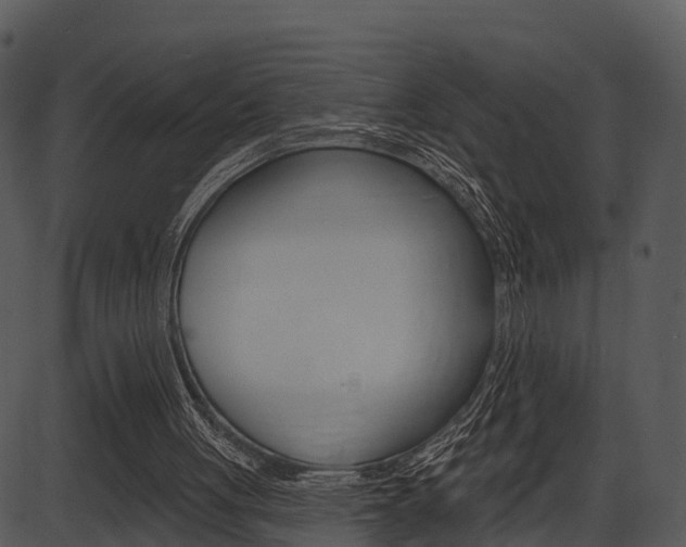 X0000087510051200704270804