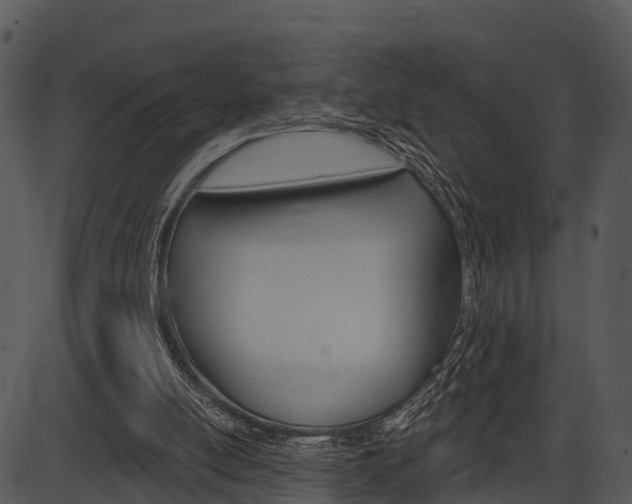 X0000087510054200704270804