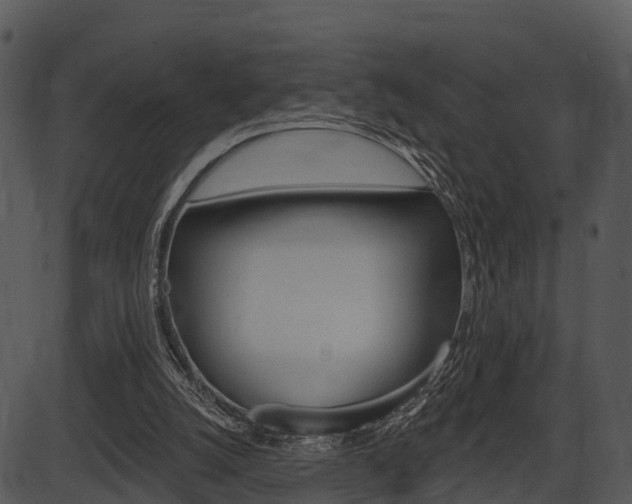 X0000087510056200704270804