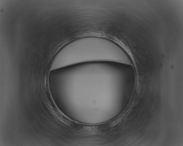 X0000087510057200704270804