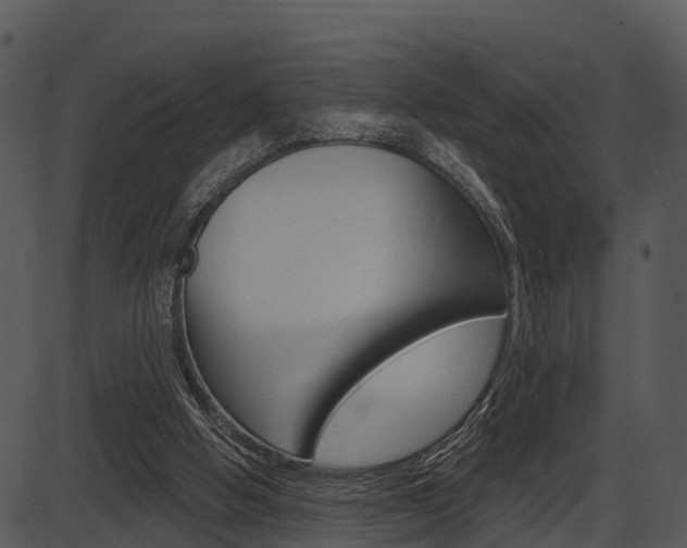 X0000087510058200704270804
