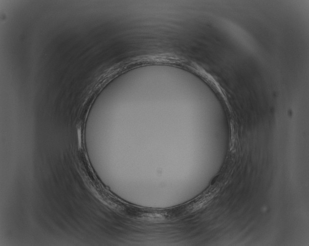 X0000087510061200704270804
