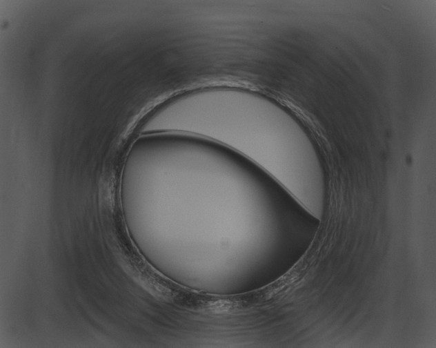 X0000087510064200704270804
