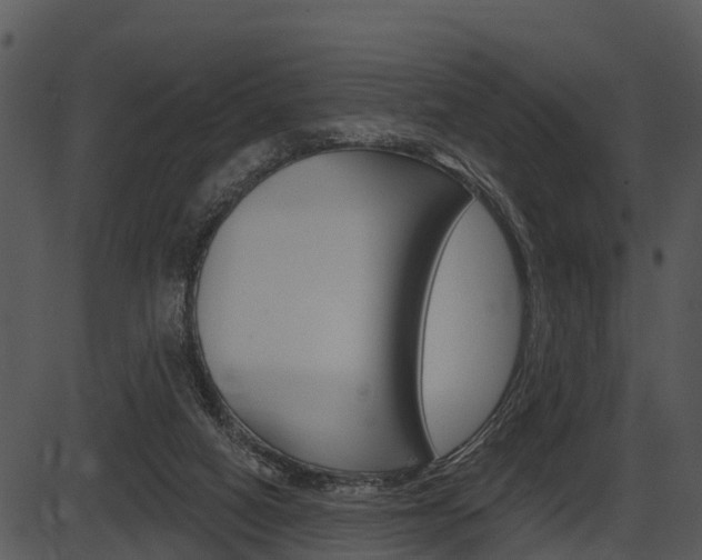 X0000087510066200704270804