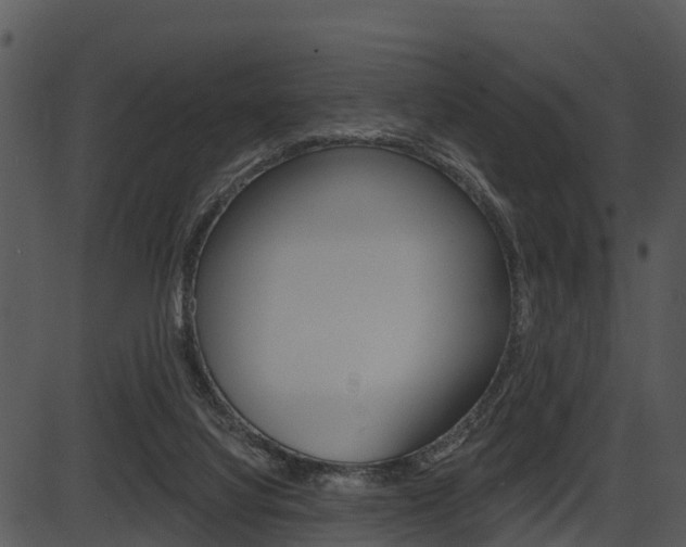 X0000087510068200704270804