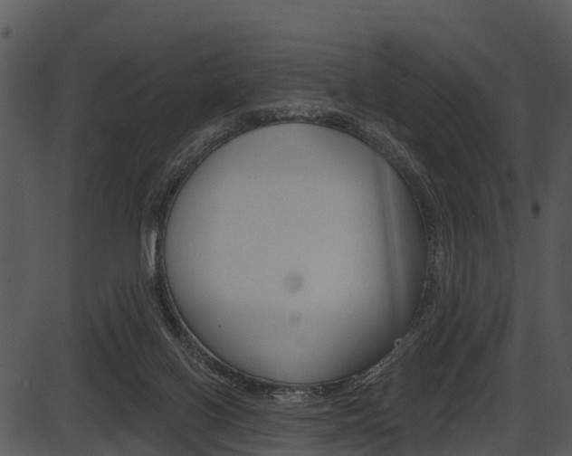 X0000087510070200704270804