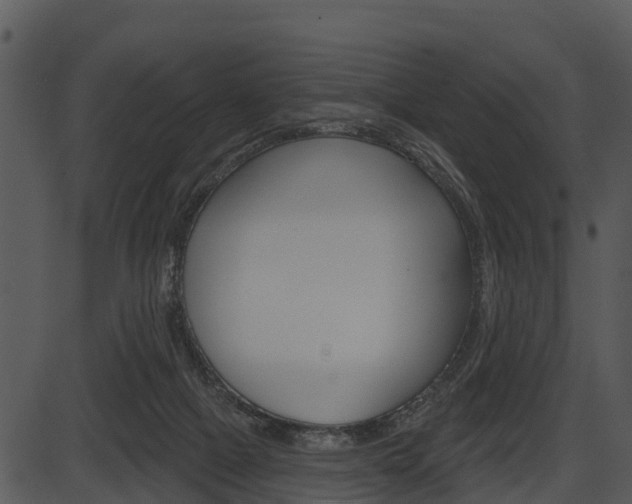 X0000087510073200704270804