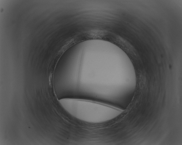 X0000087510075200704270804