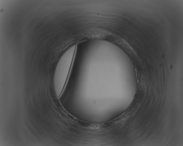 X0000087510076200704270804