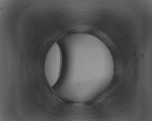 X0000087510077200704270804