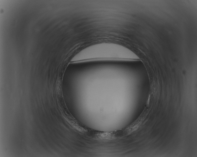 X0000087510092200704270804